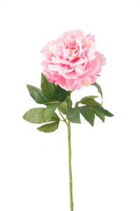 Artificial peony - 1 stem - Light pink