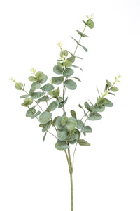 Artificial Cinerea eucalyptus - 1 branch - Green-grey