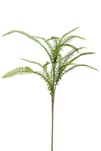 Artificial nephrolepis fern - 1 bush - Green