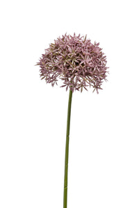 Artificial allium - 1 stem - Lila