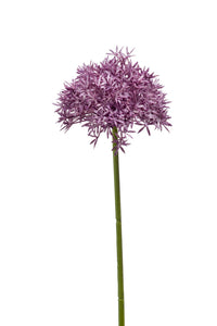 Artificial allium - 1 stem - Purple