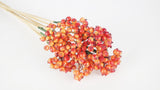 Berry cluster on stem - 1 bunch - Flame