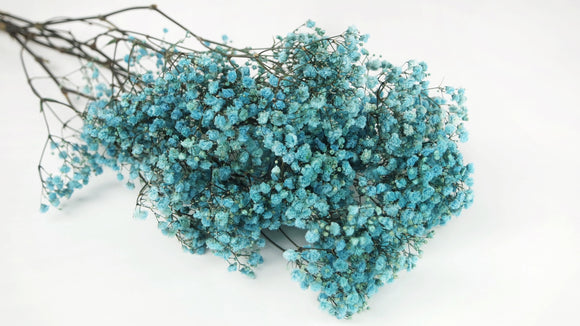 Preserved gypsophila - 1 bunch - Baby blue