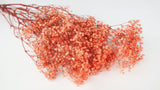 Preserved gypsophila - 1 bunch - Orange flame