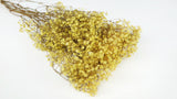 Gypsophila stabilizzata - 1 mazzo - Giallo sole