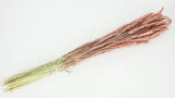 Dried wheat - 1 bunch - Blush gold