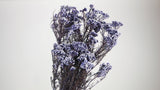 Preserved rice flowers - 1 bunch - Lavender blue