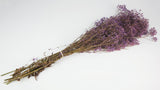 Preserved gypsophila - 1 bunch - Purple